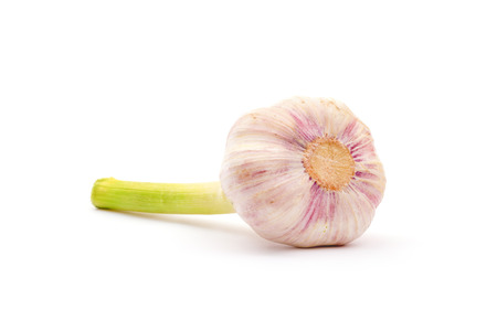 Garlic isolated on white backgroundの写真素材