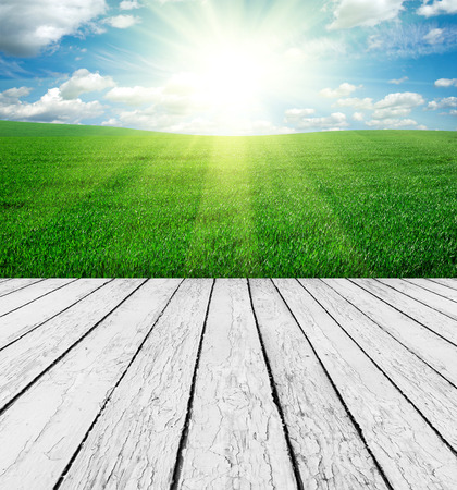 Beautiful nature backgroundの写真素材