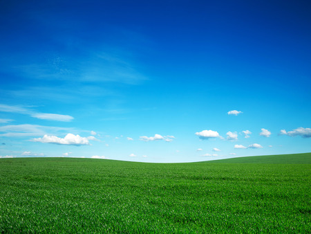 Field of summer grass and bright blue skyの写真素材