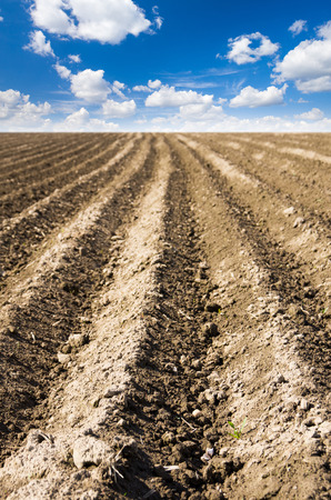 ploughed field with skyの写真素材