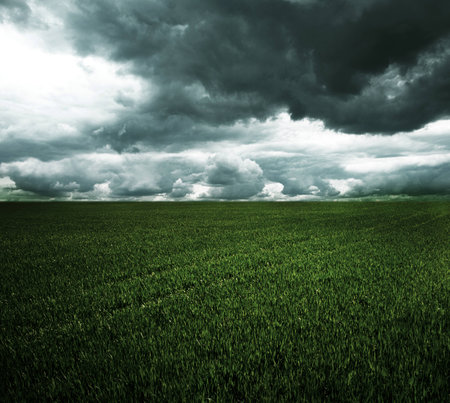 Storm dark clouds over field with grassの写真素材