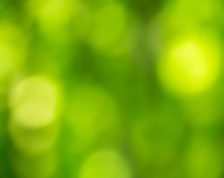 Sunny abstract green nature background, selective focusの写真素材