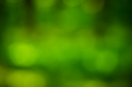 green bokeh from treeの写真素材