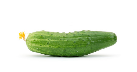 Cucumber isolated on white backgroundの写真素材