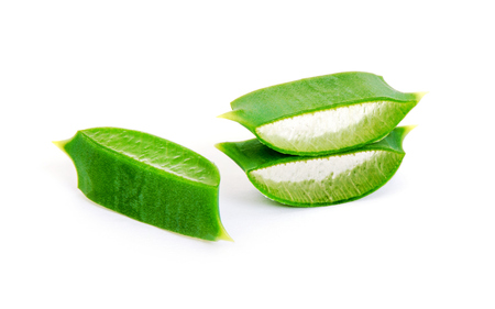 aloe vera fresh leaf. isolated over whiteの写真素材