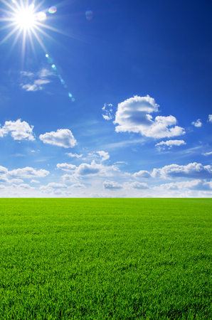 Green field and blue skyの写真素材