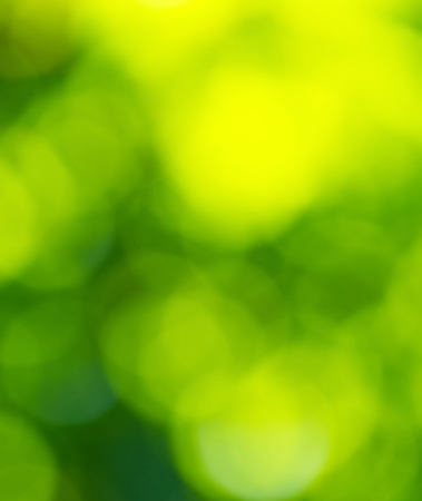 Green blurred background and sunlightの写真素材