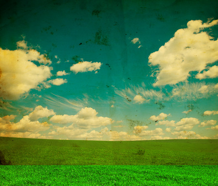 field of grass and perfect blue skyの写真素材