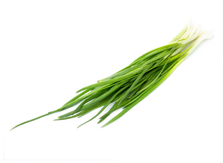 Green Onion on white backgroundの写真素材