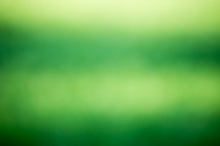 Green blurred background and sunlightの写真素材