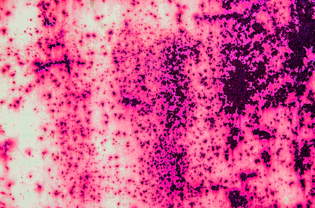 Old and vintage grunge backgroundの写真素材