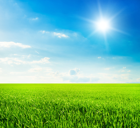 Green field and blue skyの写真素材