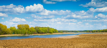 meadow and pond with blue cloudy skyの写真素材