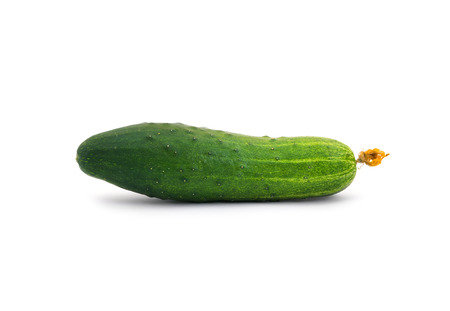 cucumber on whiteの写真素材