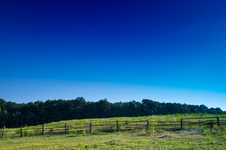 field of grass and perfect skyの写真素材