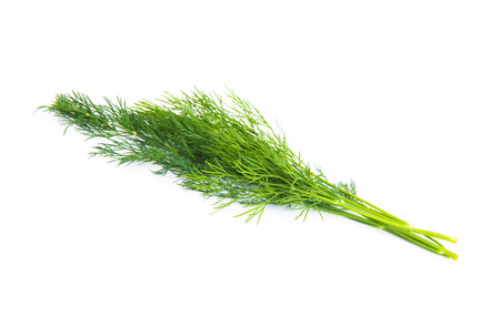 bunch fresh dill herb isolated on white backgroundの写真素材