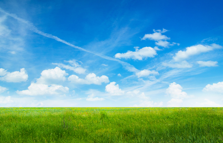 green field and blue skyの写真素材