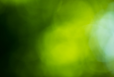 Green blurred background and sunlightの写真素材