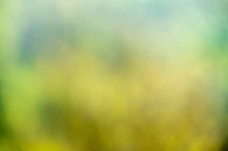 Green blurred background and sunlightの写真素材
