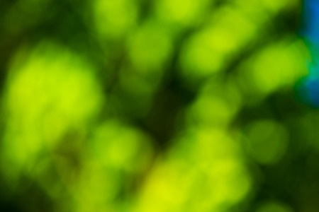 Green blurred background and sunlightの写真素材