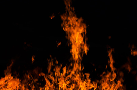 Fire flames on a black backgroundの写真素材