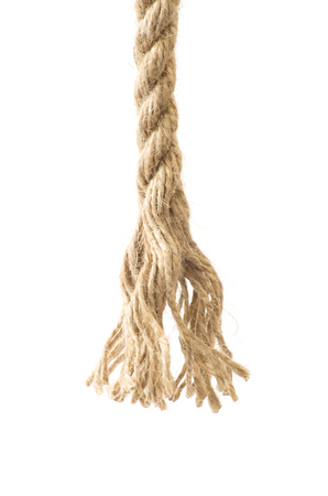 ropes with knot isolated on white backgroundの写真素材