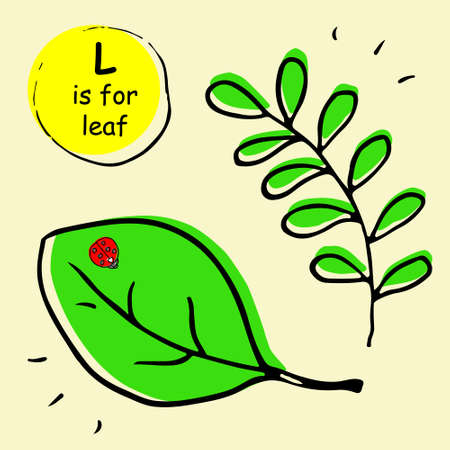 Hand drawn vector leaves sketch set with ladybird. Sketch. Doodle. Concept for kids children print, clothes, learning material, alphabet, wrapping paper. Design for poster, kitchen textiles, clothingのイラスト素材