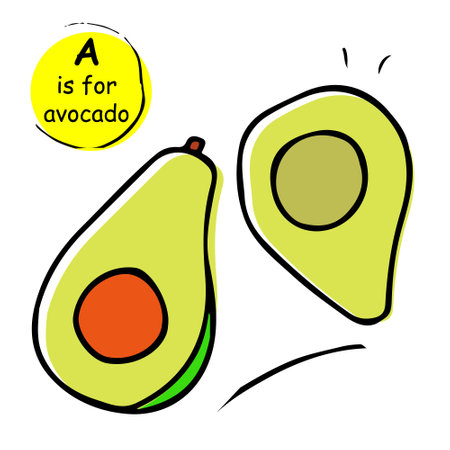 Avocado cut slice hand drawn vector sketch. Half tropical summer food fruit illustration. Great for label, poster, print, child learning material, alphabet, wrapping paperのイラスト素材
