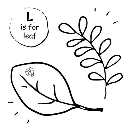Hand drawn vector leaves sketch set with ladybird. Sketch. Doodle. Concept for kids children print, clothes, learning material, alphabet, wrapping paper. Design for poster, kitchen textiles, clothingのイラスト素材