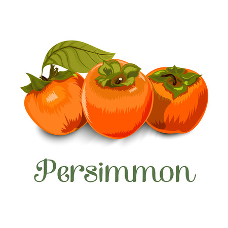 Persimmon for packing, textiles, greeting cards, labels and much more.Isolated image on white backgroundのイラスト素材