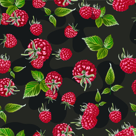Raspberry vector seamless pattern. Natural fresh bilberry embroidery background pattern. Template for clothes, textiles, t-shirt design.のイラスト素材