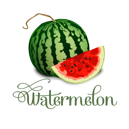Vector illustration logo for whole ripe red fruit watermelon, green stem, cut half, sliced slice berry with red flesh. Watermelon pattern from natural sweet food.のイラスト素材