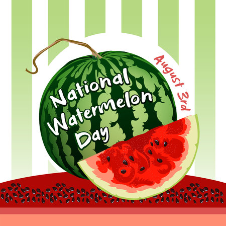 National Watermelon Day. Vector Illustration for the holiday.のイラスト素材