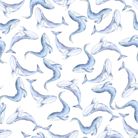watercolor blue whales seamless patternの写真素材
