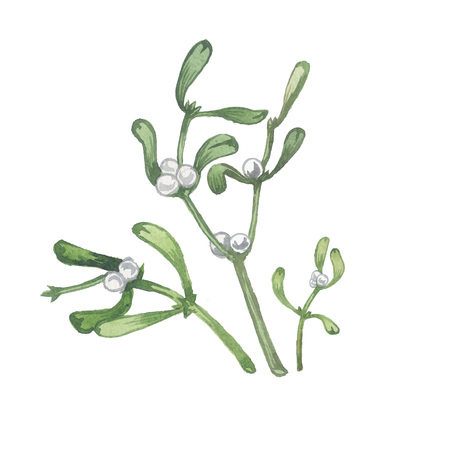 Bouquet with mistletoe sprigs. Original watercolor painting.の写真素材