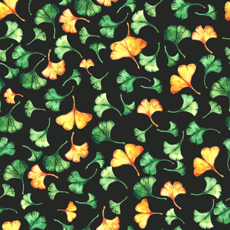 Ginkgo biloba leaves floral watercolor seamless pattern on black backround. Tree plant known as ginko or gingko.の写真素材