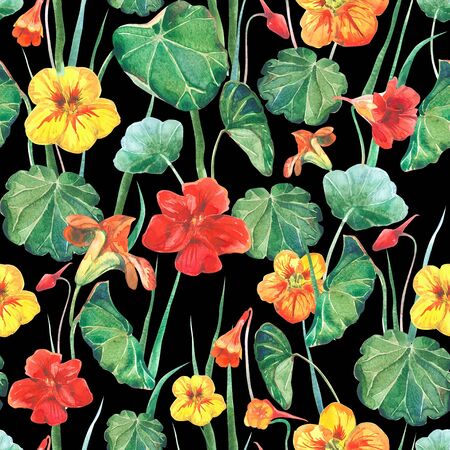 Seamless watercolor fabric background of nasturtium flowers and leaves. Old style black background.の写真素材