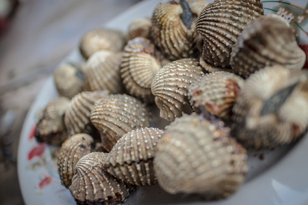 cockle.の写真素材