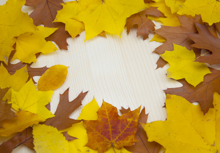 Autumn frame from maple leaves on the old wooden backgroundの写真素材