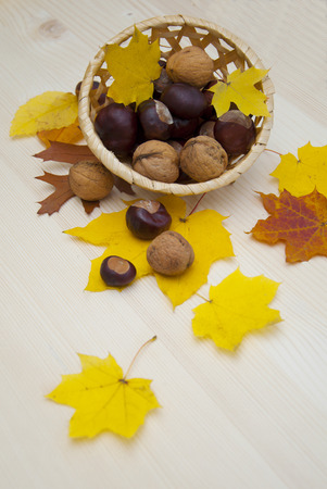 Chestnuts in basket and Autumn leaves on wooden tableの写真素材