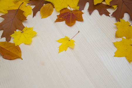 Autumn frame from maple leaves on a wooden backgroundの写真素材