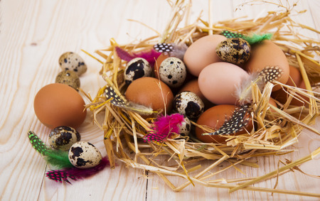 Speckled quail eggs and chicken eggs in the manger on a wooden backgroundの写真素材