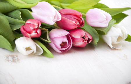 Beautiful tulips on a white wooden backgroundの写真素材