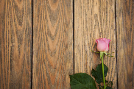 Beautiful pink rose on a wooden backgroundの写真素材