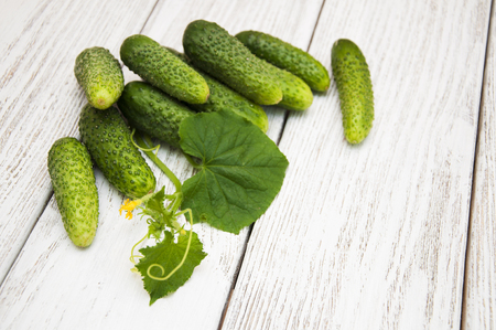 Preparation of small cucumber preserving on wooden tableの写真素材