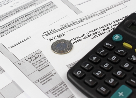 Polish Information taxpayer revenues pit-28   A