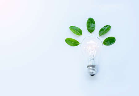 Ecology idea green leaf and light bulb on white background with space text.の写真素材