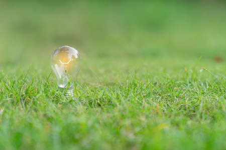 Light bulb growth up on in meadow. Earth day conceptの写真素材