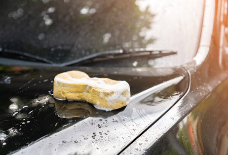 Close up yellow sponge over a black car during a car wash at home.の写真素材