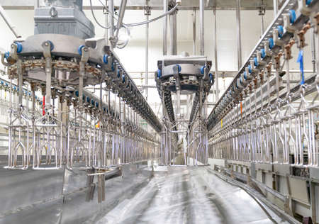 Chain for chicken hang line cleanning after process.Emptry chicken.の写真素材